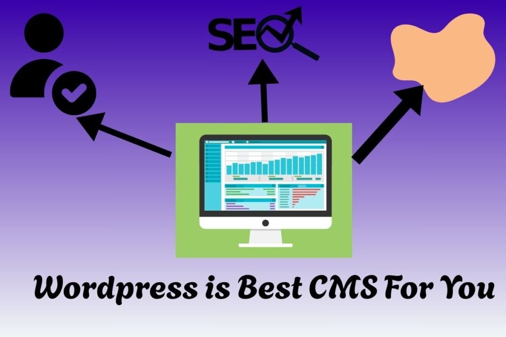 How to Set Up a Website in WordPress?